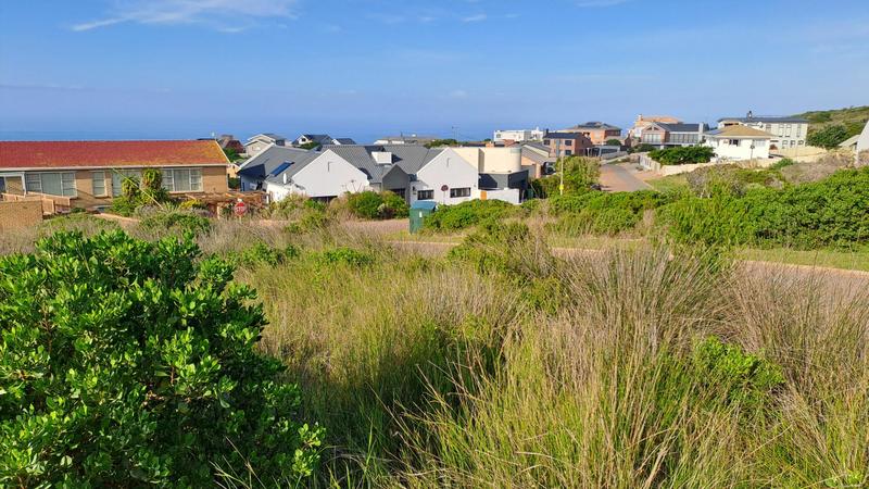 0 Bedroom Property for Sale in Jongensfontein Western Cape
